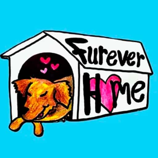 Furever Home Cincinnati Tickets