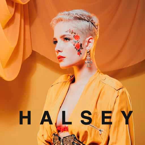 Halsey in Cincinnati
