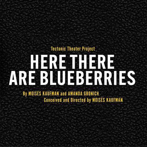 Here There Are Blueberries Cincinnati Tickets
