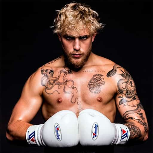 Jake Paul Concerts in Cincinnati