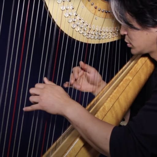 Open Harp Workshop Cincinnati Tickets
